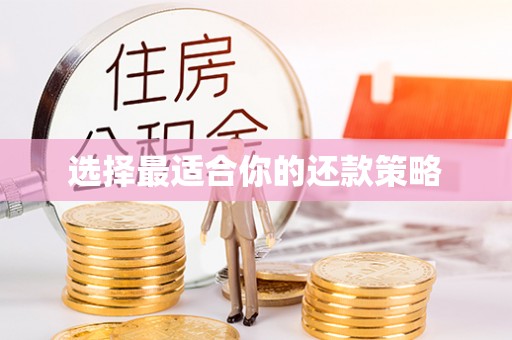 溪州选择最适合你的还款策略