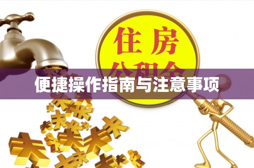 溪州便捷操作指南与注意事项