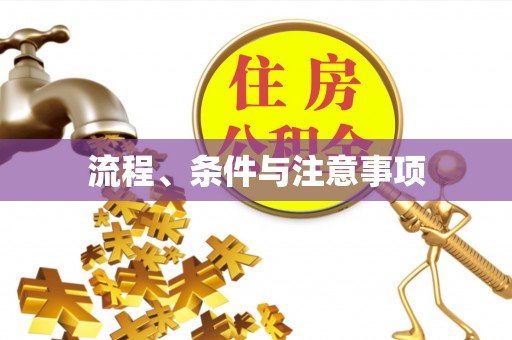 溪州流程、条件与注意事项